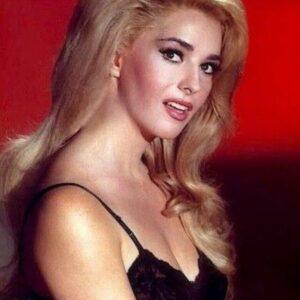 Edy Williams: The Bold Hollywood Icon Who Defied Conventional Fame